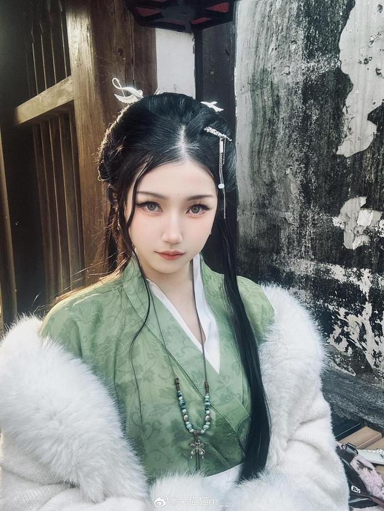 不呆猫写真：照片集锦分享