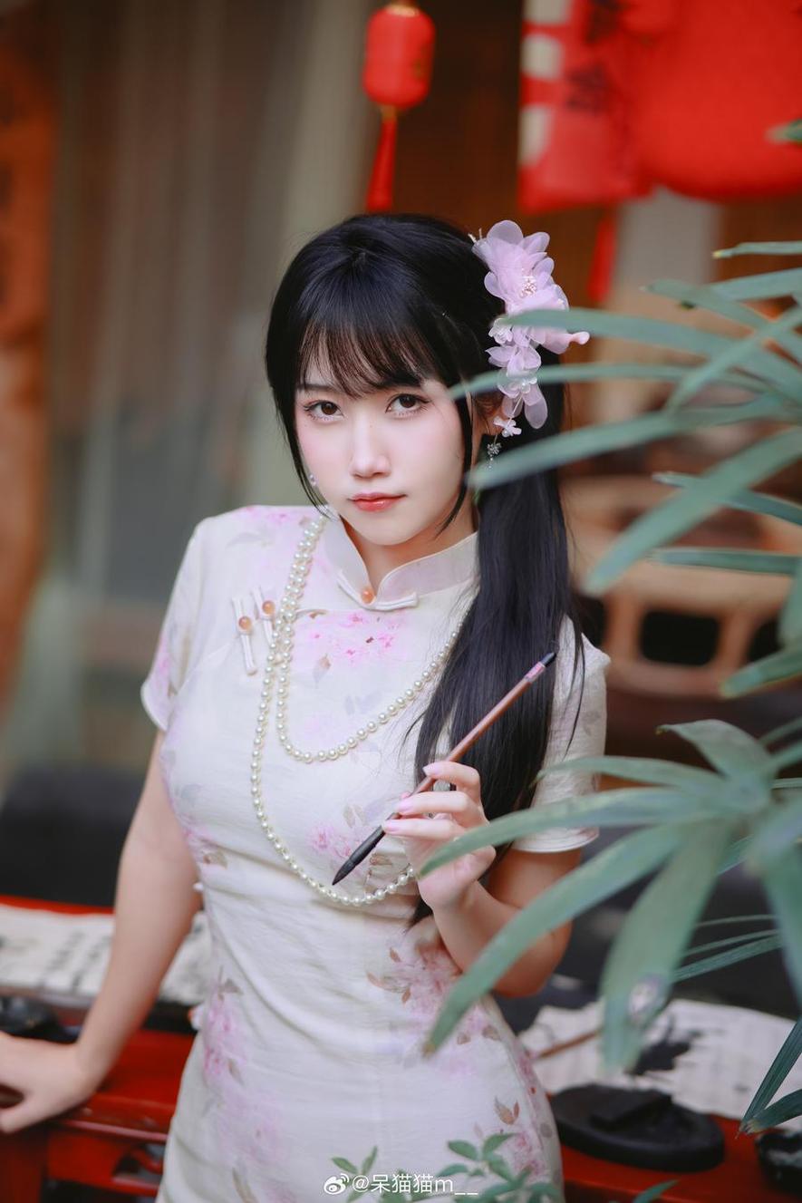不呆猫推图网独家合集，精选图片必收藏