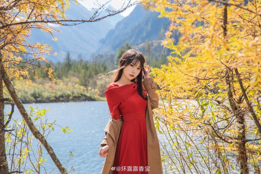 经典角色精致再现，喵露露图片太过精彩